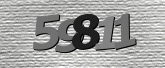 보안 코드 이미지