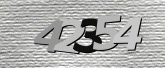 驗證碼